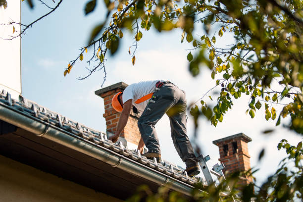 Best Commercial Roofing Services  in Hillsdale, MI