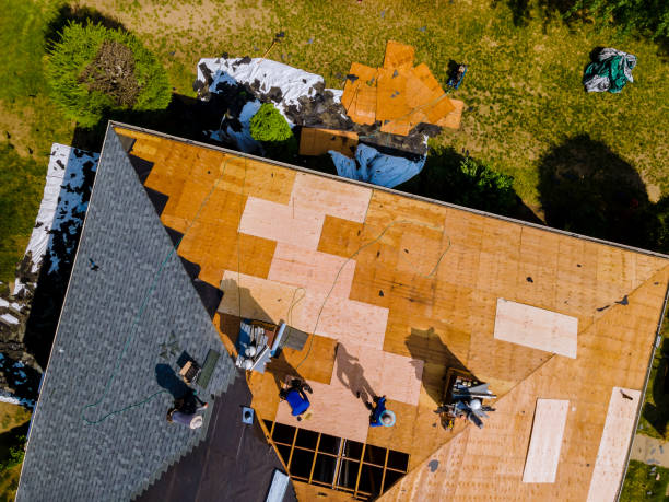 Best Roof Replacement Cost  in Hillsdale, MI