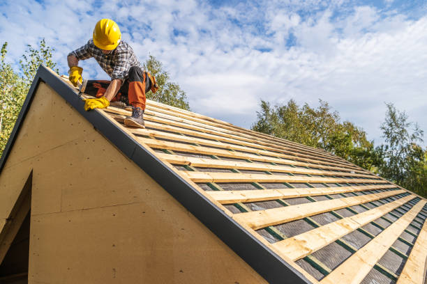 Best Roof Leak Repair  in Hillsdale, MI