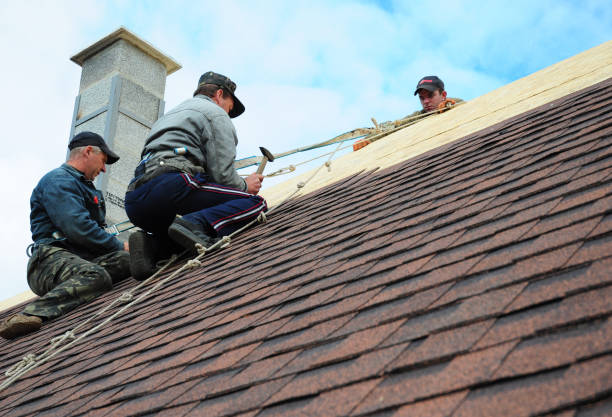 Best Local Roofing Companies  in Hillsdale, MI