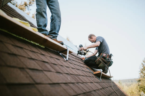 Best Roof Gutter Cleaning  in Hillsdale, MI