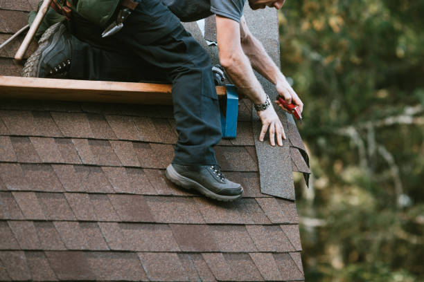 Best Affordable Roofing Company  in Hillsdale, MI